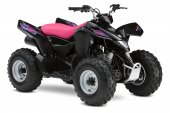 2009 Suzuki QuadSport Z90 Special Edition photo